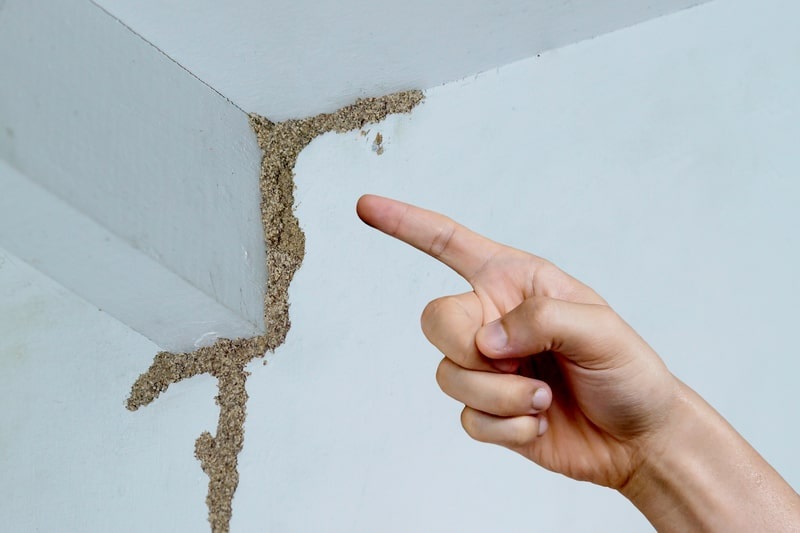 Signs That Your Property May Be Damaged