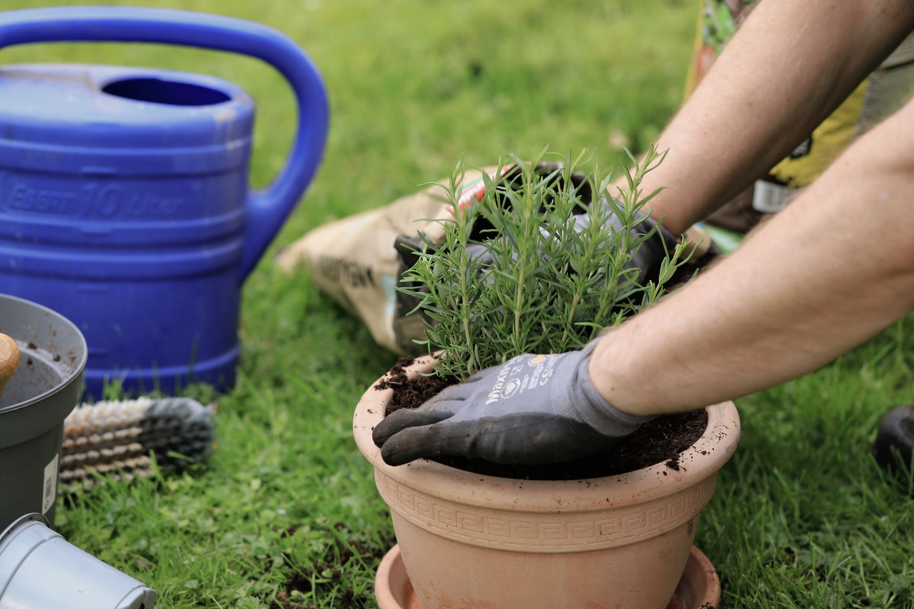 A gardener planting herbs in a terracotta pot with a watering can nearby on a sunny day. — DIY Landscaping - Getting Began