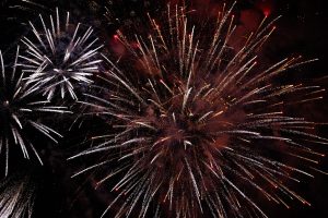 Fireworks, celebration, new year's day — Flies: How to Control Them in Healthcare Facilities?