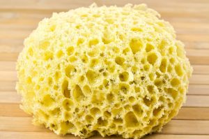 Washing sponge, sponges, cleaning — Get the high-quality carpet cleaning in Tallahassee you need