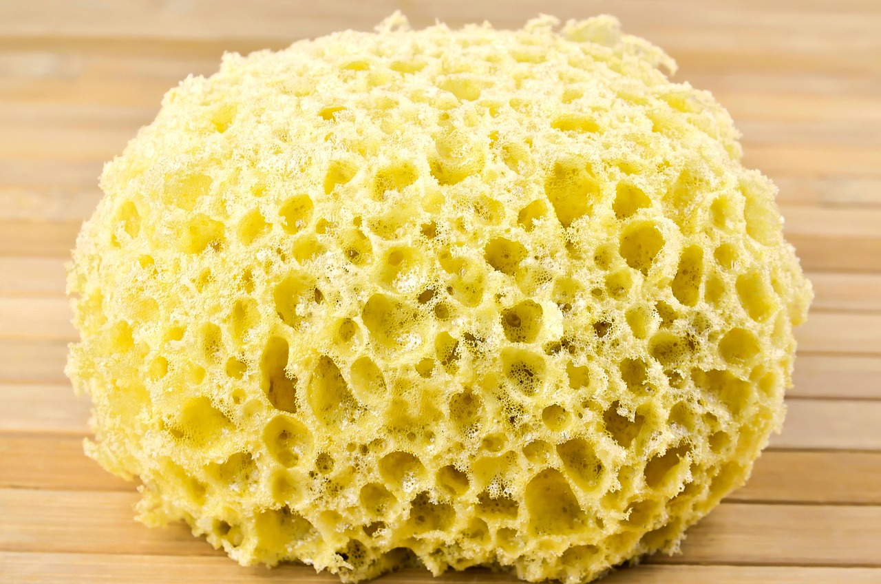 Washing sponge, sponges, cleaning — Get the high-quality carpet cleaning in Tallahassee you need