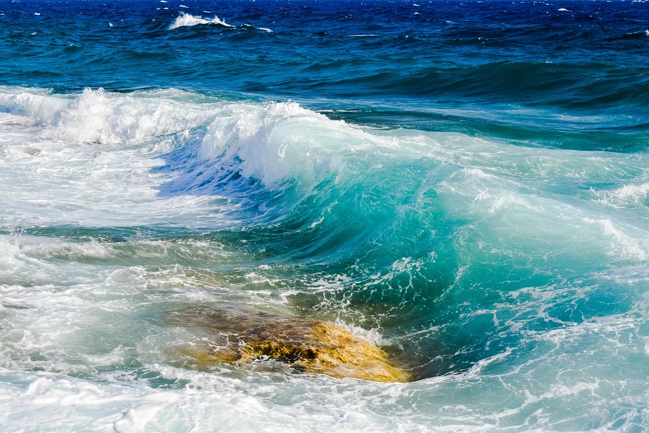 Wave, smashing, transparent — How Can A Person Book A Seat For An Interview?