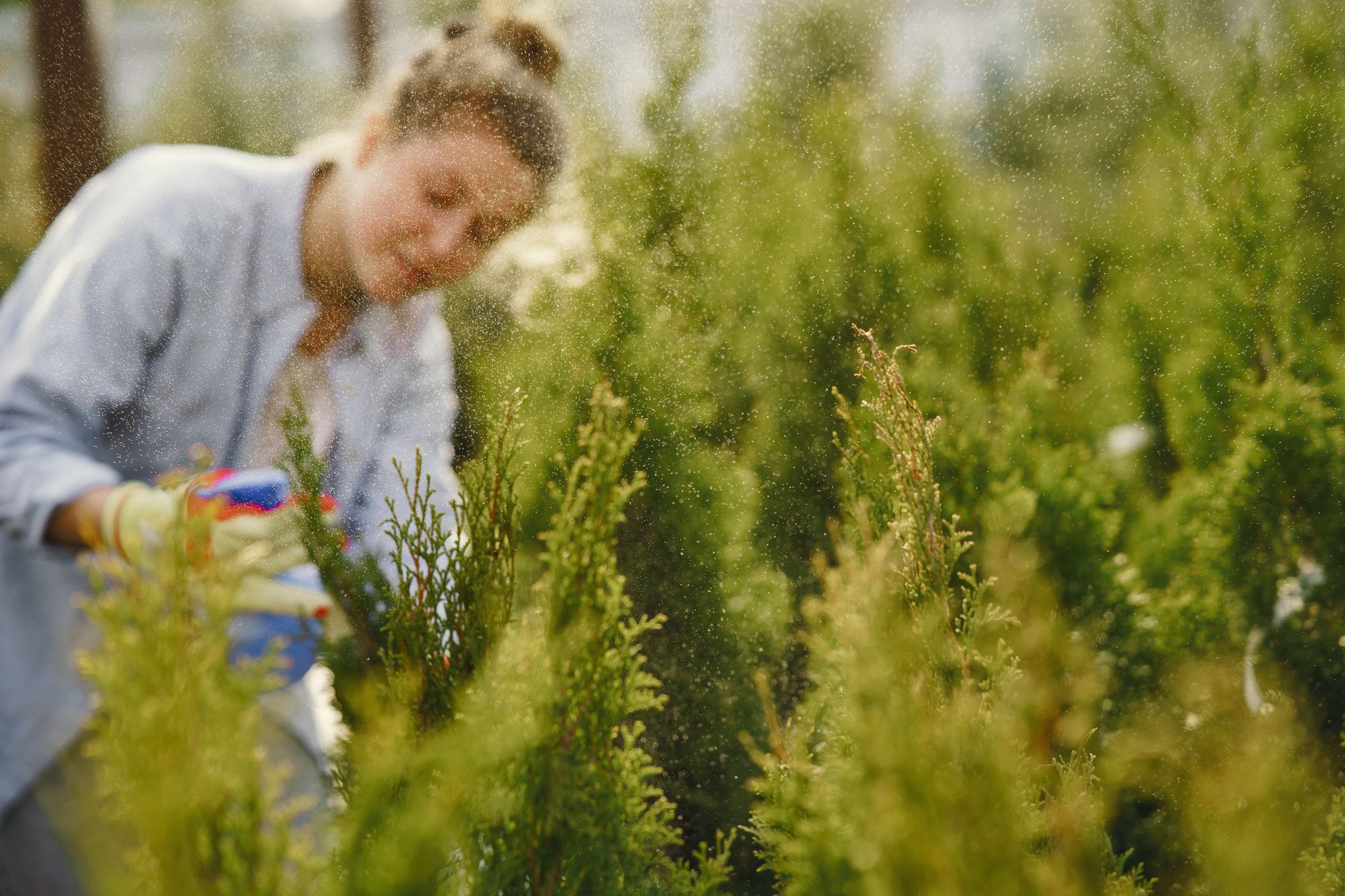 A gardener sprays water on bushes for fresh growth. Outdoor horticulture scene. — How you can Define Landscaping?