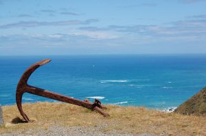 New zealand, sea, beach — Peace of Mind: What the Right Emergency Restoration Service Avondale Arizona Accomplishes