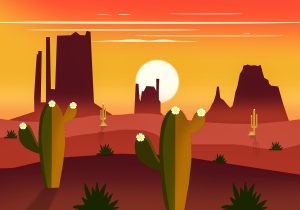 Cactus, flowers, nature — Private Messaging: Enhancing Interpersonal Connection