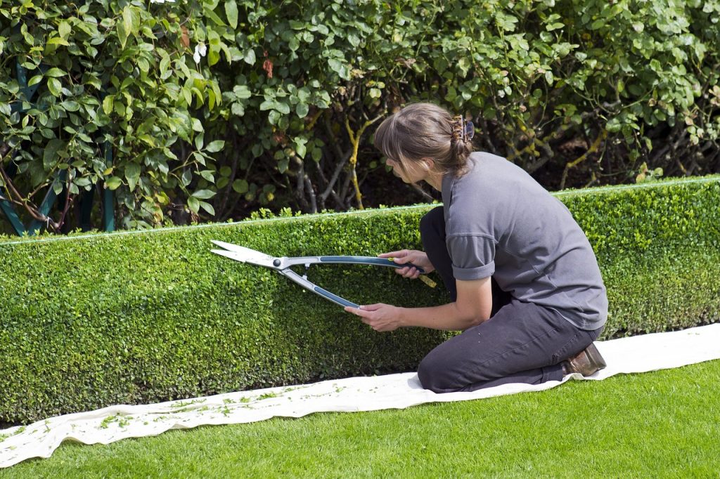 Box hedge topiary, shears, gardener — Reducing Landfill: A Look at Recyclable Materials in Residential Skips