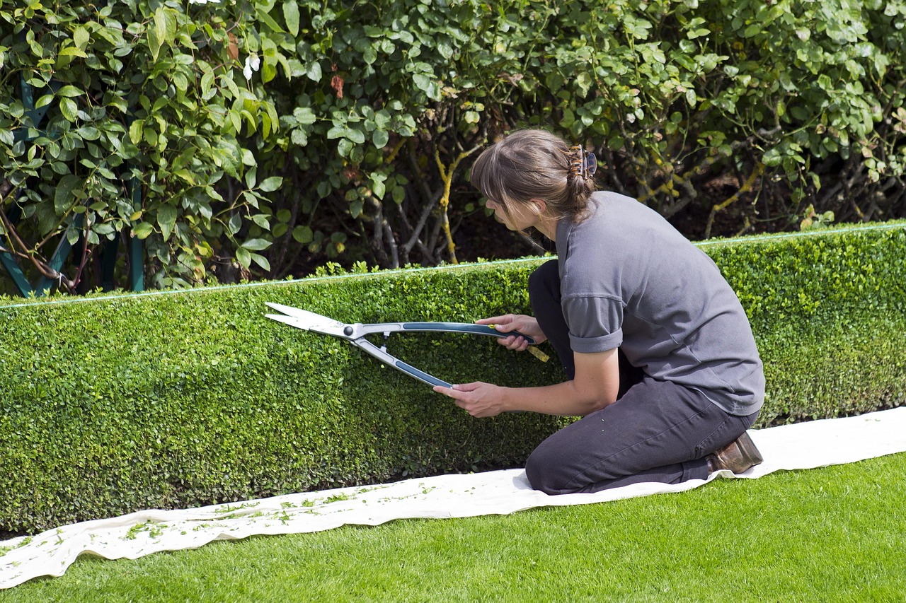 Box hedge topiary, shears, gardener — Reducing Landfill: A Look at Recyclable Materials in Residential Skips