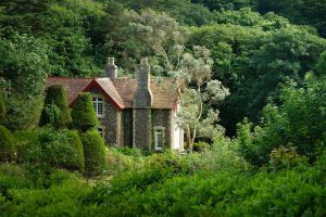 Country house, villa, ingrown — Top Tips for Investment in Real Estate Business