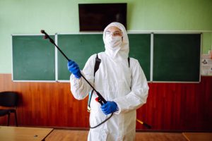 Understanding the Importance of Timely Termite Removal for Property Preservation