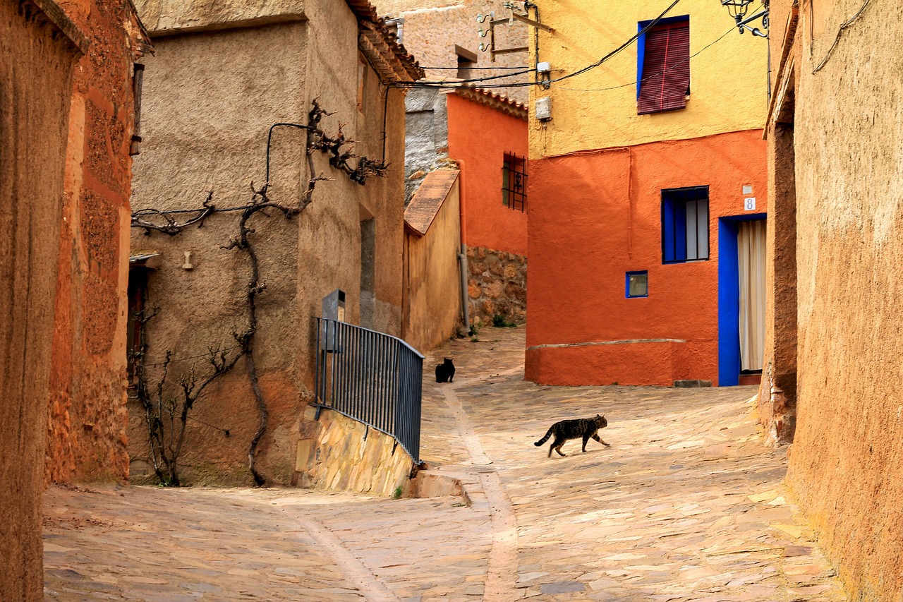 Street, cat, rural — What To Do In Case Of Water Damage In Professional Premises?